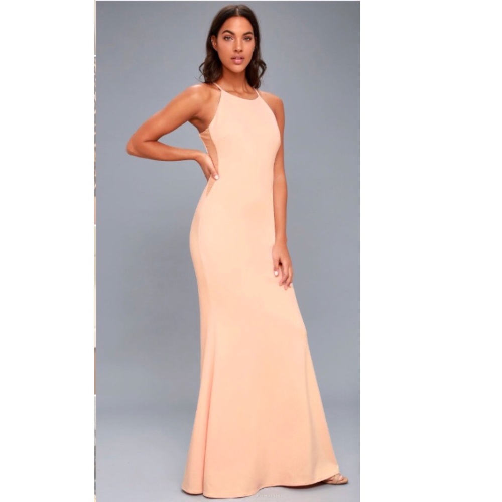 Blush Pink Maxi Dress NWOT